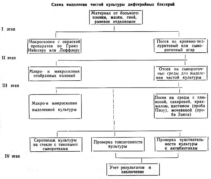 Микроскопический метод диагностики дифтерии. Схема бактериологической диагностики дифтерии. Методы микробиологической диагностики дифтерии. Для микробиологической диагностики дифтерии применяют. Микробиологическое исследование дифтерии.