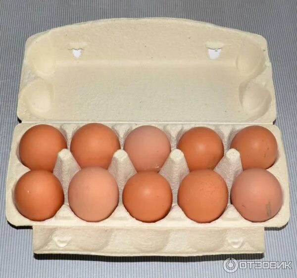 Яйца Чебаркульская птица. Яйца производители. Производитель яиц Чебаркуль. Яйца XL. Купить инкубационное яйцо от производителя