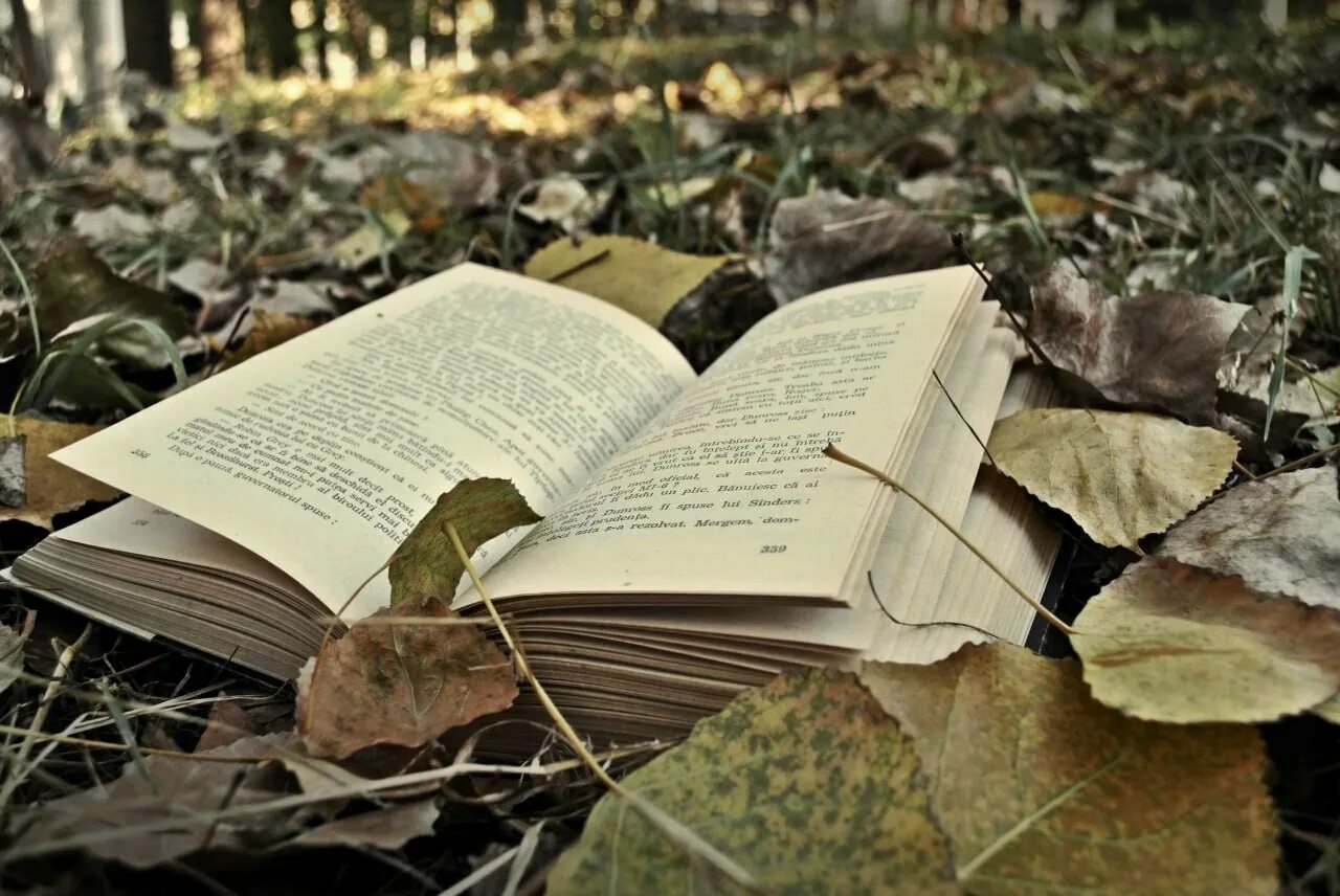 Интегрированный урок литературы и биологии корень. Урок по литературе. Книги эстетика. Литературный урок на природе. Красивые рамки с книгами.