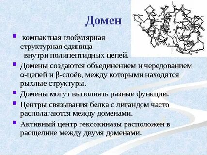 Белки термин