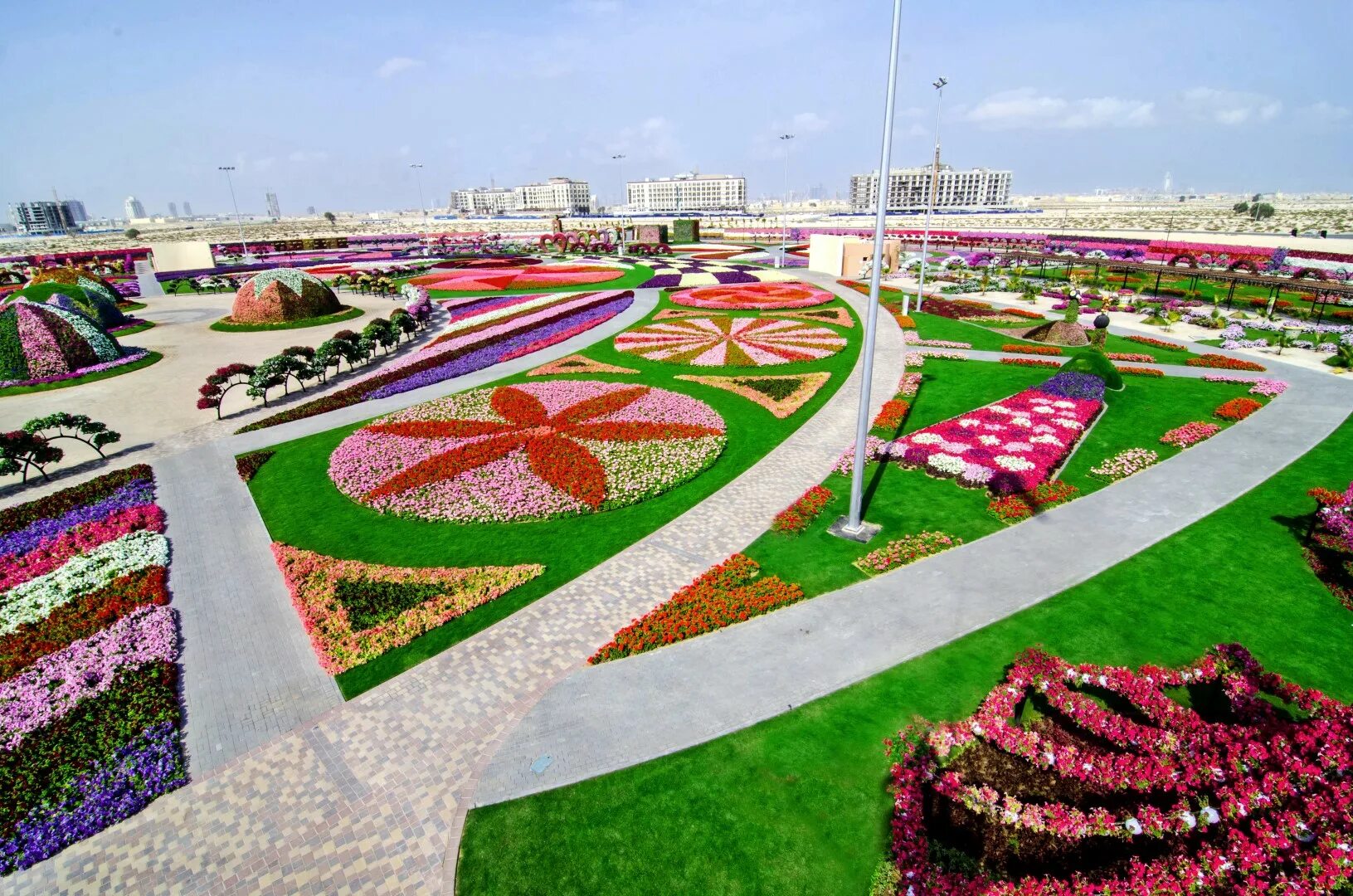 Дубайский парк. Миракл Гарден Дубай. Сад в Дубае Миракл Гарден. Парк цветов Миракл Гарден. Парк Миракль Дубай.