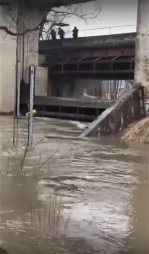 Уровень воды в обнинске сегодня. Уровень реки Протва в Обнинске. Уровень воды на реке Протва Обнинск. Обнинск Протва 2022. Уровень воды в Протве Обнинск.