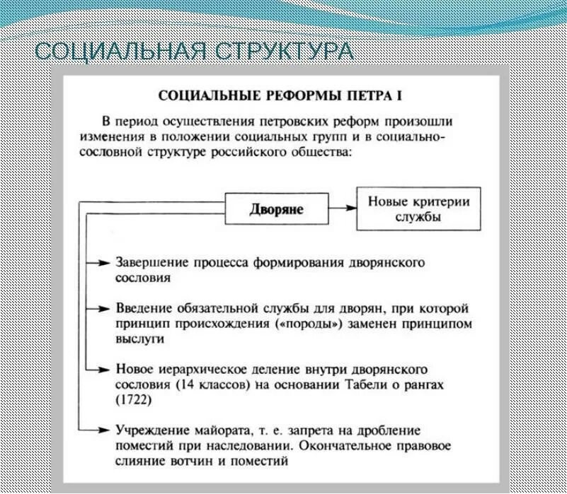 Социальные реформы деятельность. Социальная структура российского общества при Петре 1. Реформы общества Петра 1. Структура общества при Петре 1. Социальные реформы Петра i.