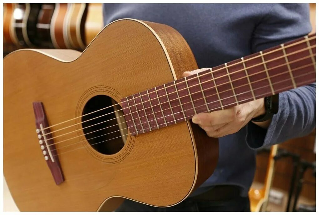 Гитара кремона с 2 резонаторами. Kremona m15-gg steel string series green globe. Акустическая гитара sofia. Gg steel. Gg steel.
