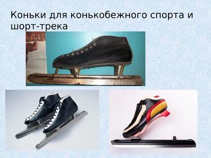 История коньковых
