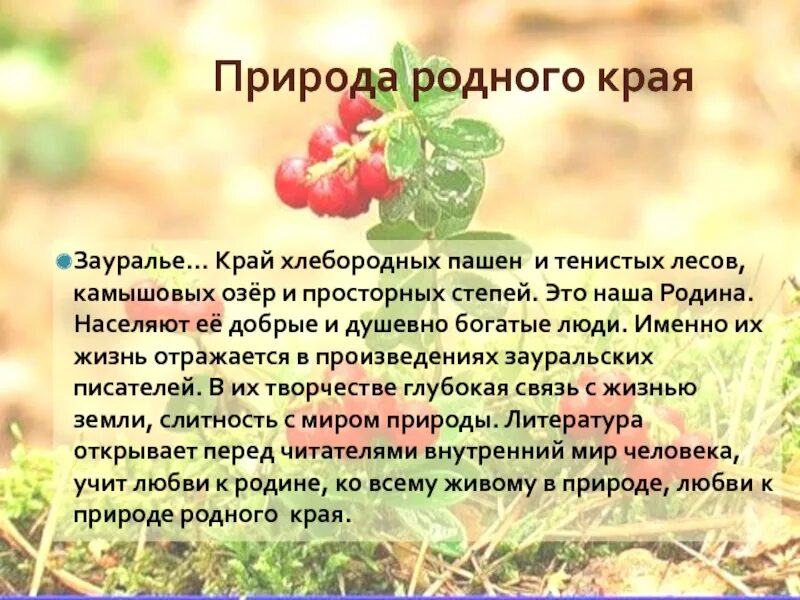 Описание родственников. Рассказ на тему родной край. Расскажите о природе родного края. Рассказ о природе родного края. Рассказ о красоте природы родного края.