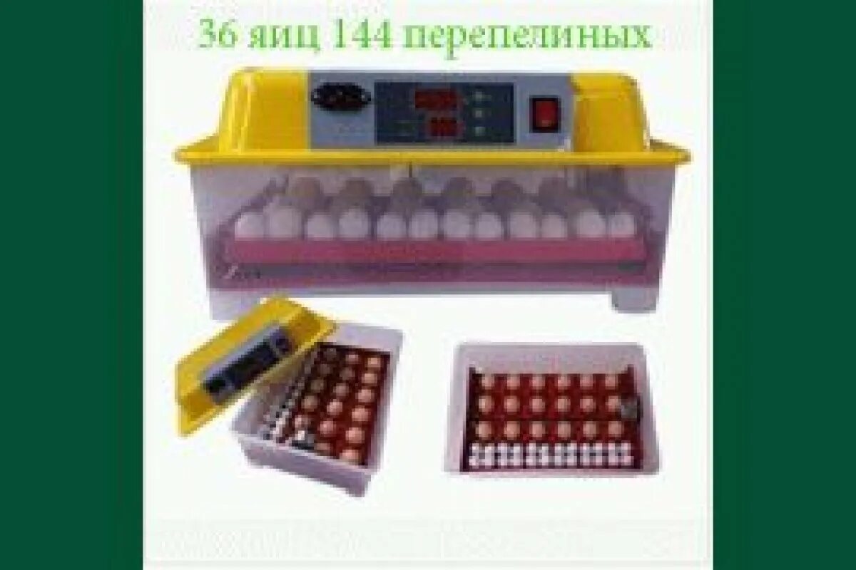 Инкубатор аппарат 526шт. Инкубатор для яиц автоматический на 30 яиц. Инкубатор на 36 яиц автоматический. Инкубатор для яиц Советский деревянный.