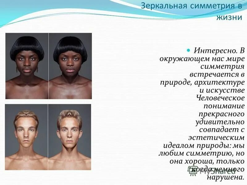 Брэд питт симметрия лица. Человек любящий симметрию. Ди каприо симметрия лица. Симметрия человеческого тела. Симметричный человек.