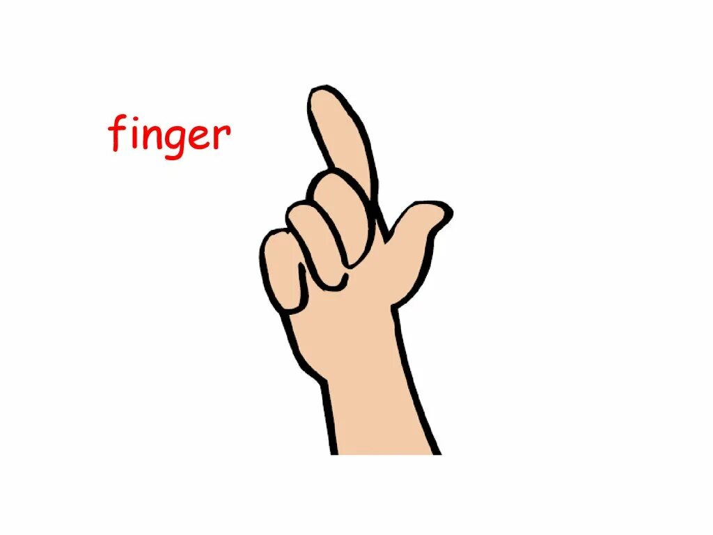 Рука человека. Указательный палец. Die finger. Hand flashcard. Пальцы на английском на руках.