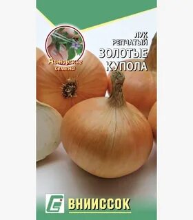 Лук золотые купола описание сорта отзывы