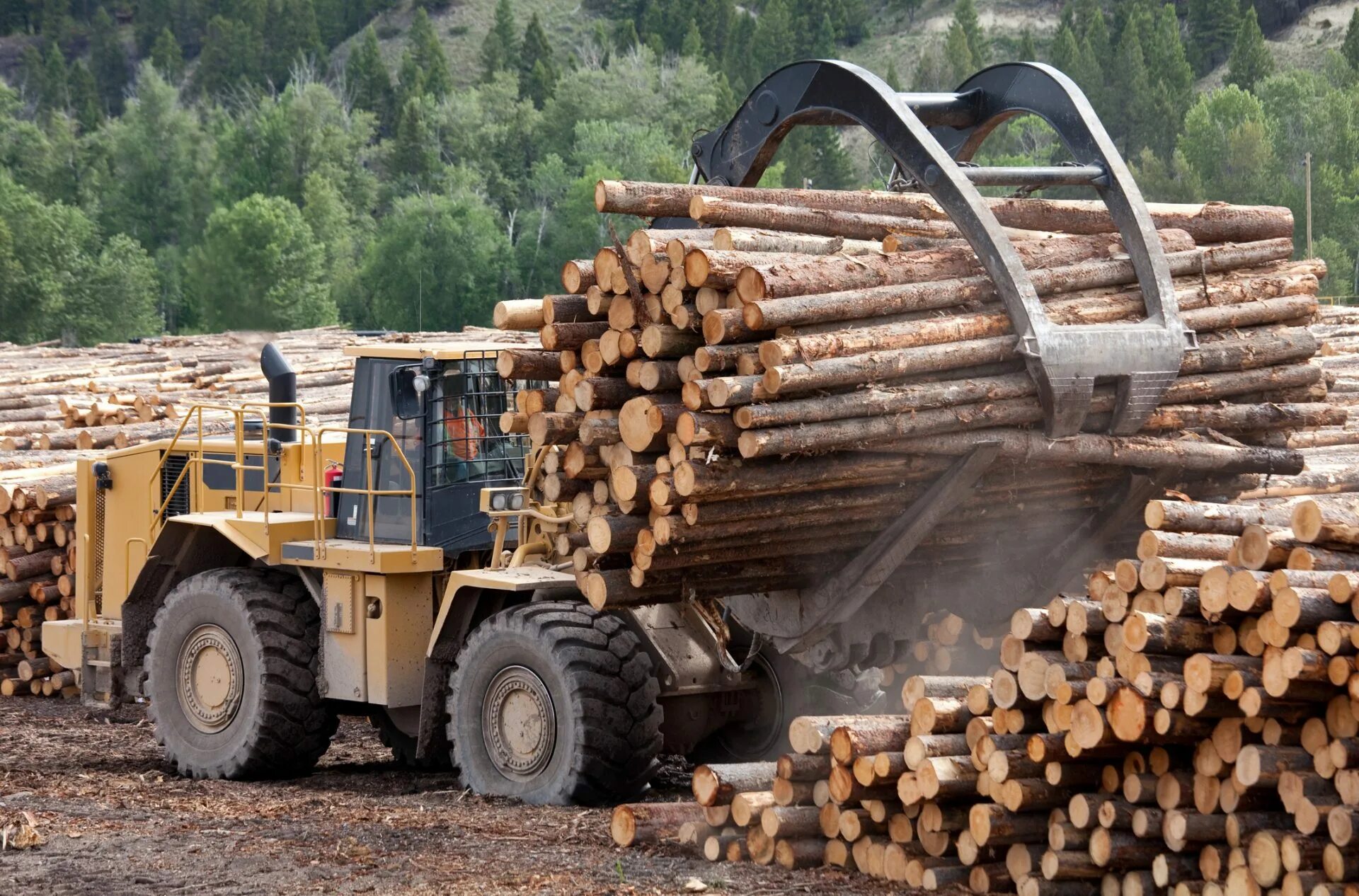 Dump logs