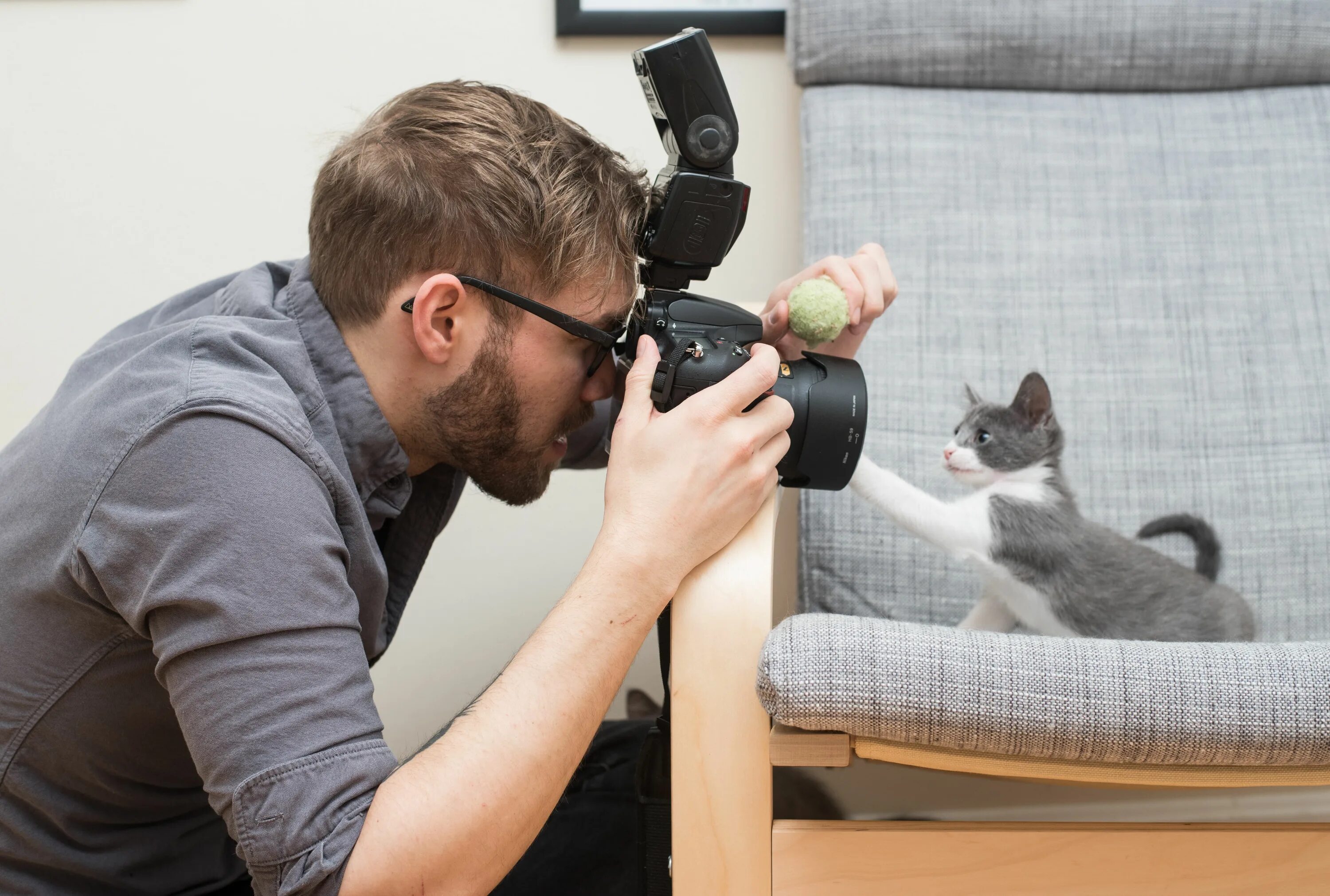 Taking cat