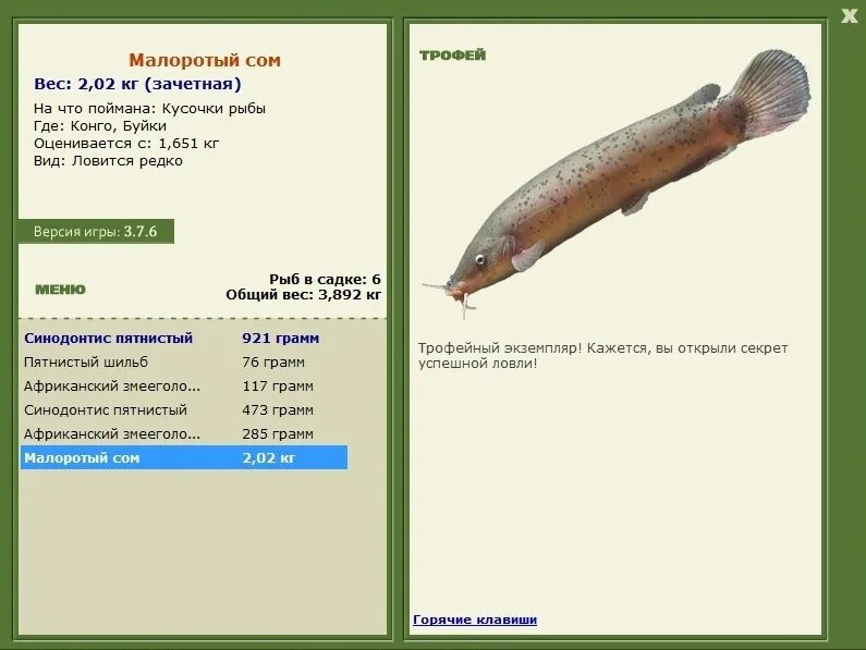 Русская рыбалка 3 сом. Русская рыбалка пятнистый сомик. Русская рыбалка 3 7 6 Африканский сом. Русская рыбалка 3 7 4 Конго Африканский Карп. Конго русская русская рыбалка 3.6.