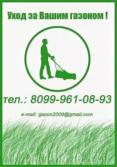 Газон 33 0 9. Газон 33 0 9