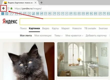 Сохраненные коллекции