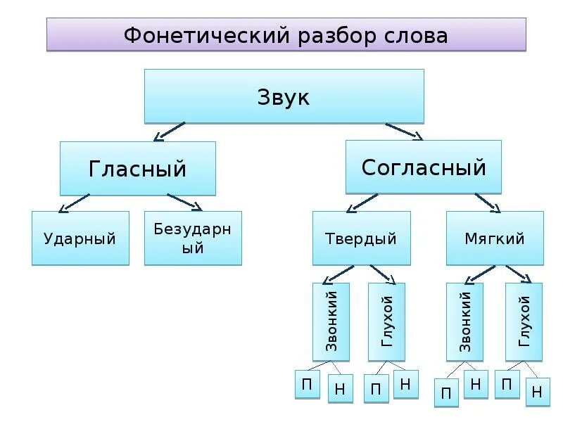 Фонетический разбор слова гласные. Фонетика звуки. Фонетический разорзвуков. Фонетика гласные и согласные звуки таблица. Фонетический разбор согласных звуков.