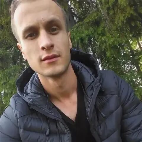 Лаковкин олонец. Лаковкин олонец