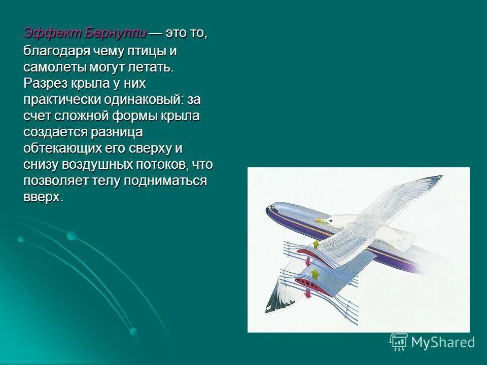 Аэродинамика самолетного крыла. Самолет для презентации. С помощью чего летает самолет. Почему летают самолеты исследовательская работа.