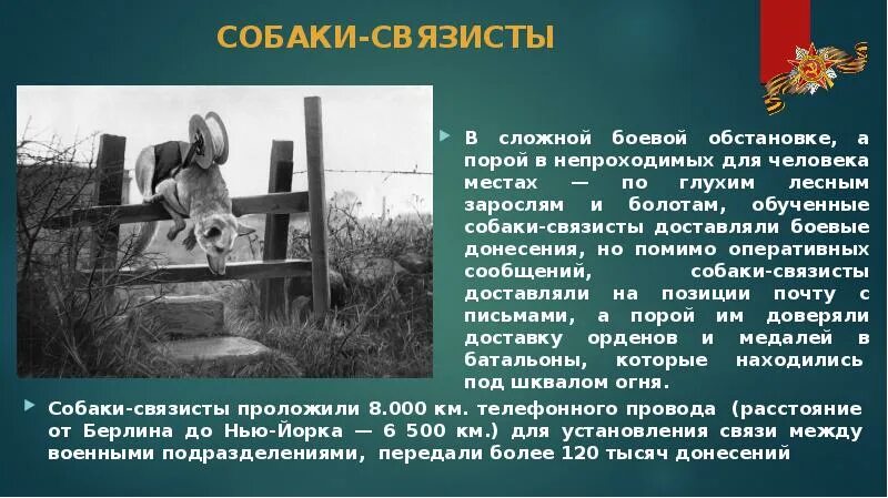 Согласно боевой обстановке был тщательно
