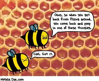 Bee dee