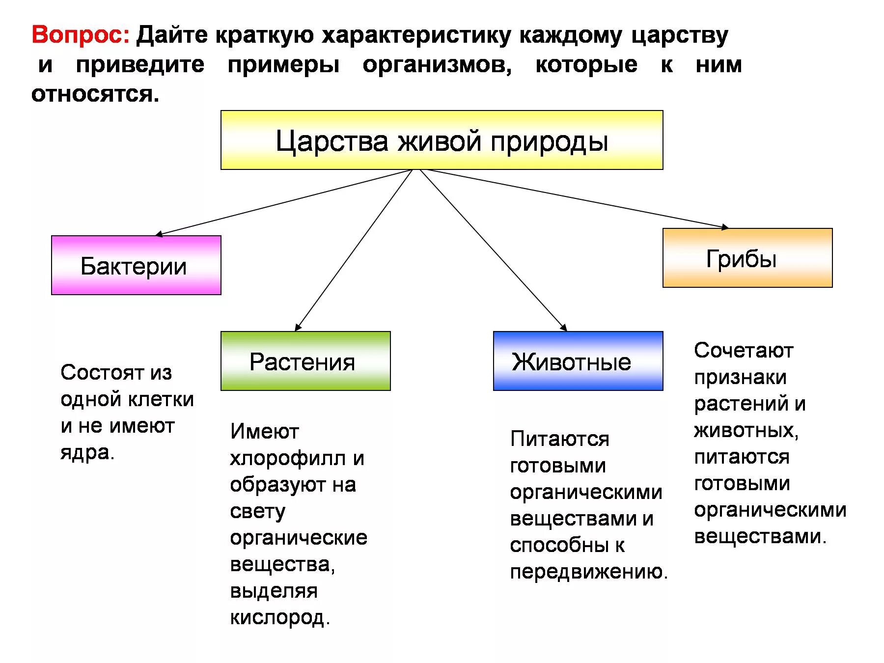 Какое основание позволило разделить организмы