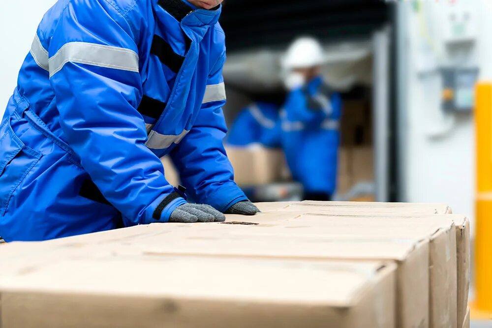 В ряде работ. Cold chain logistics. cold warehouses. процесс работы фото. конвейер с коробками.