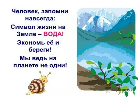 Люди берегите реки