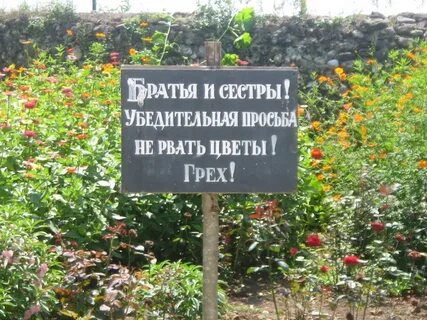 Цитаты про абхазию