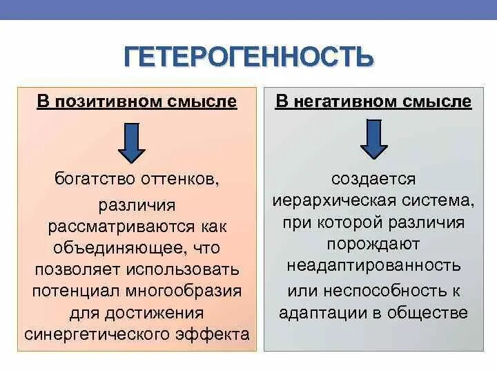 Гетерогенность школы