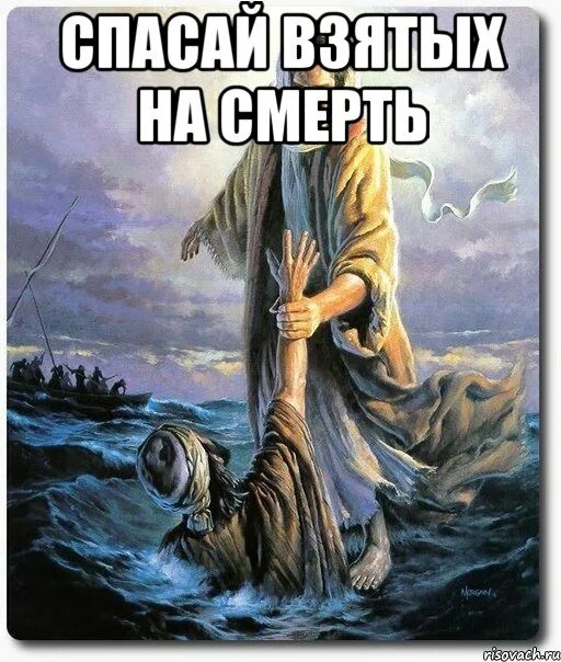 Спасай взятых на смерть и неужели откажешься от обреченных на убиение. Спасать взятых на смерть. Спасай взятых на смерть. Спасать взятых на смерть библия. Спасать взятых на смерть библия.