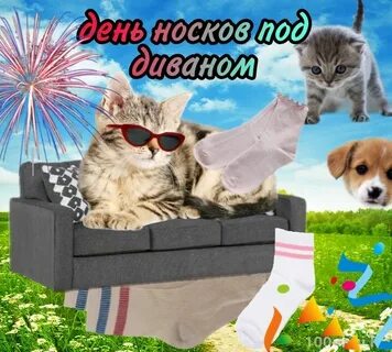 День дивана 17 августа картинки