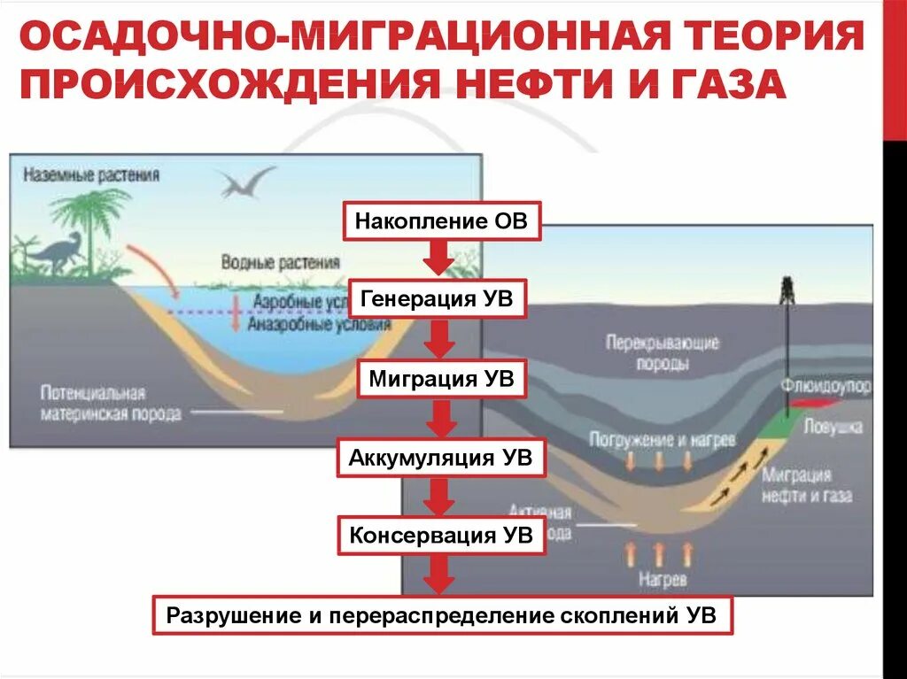 Природно органического происхождения в. Осадочно-миграционная теория происхождения нефти. Теории происхождения нефти. Органическая теория образования нефти. Схема образования неытии.