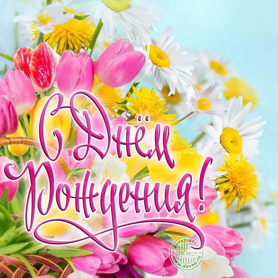 Открытка с днём рождения. Позитивное поздравление с днем рождения. Сирень дюк де масса. Открытка с днём рожденияженщине. Позитивное поздравление с днем рождения.