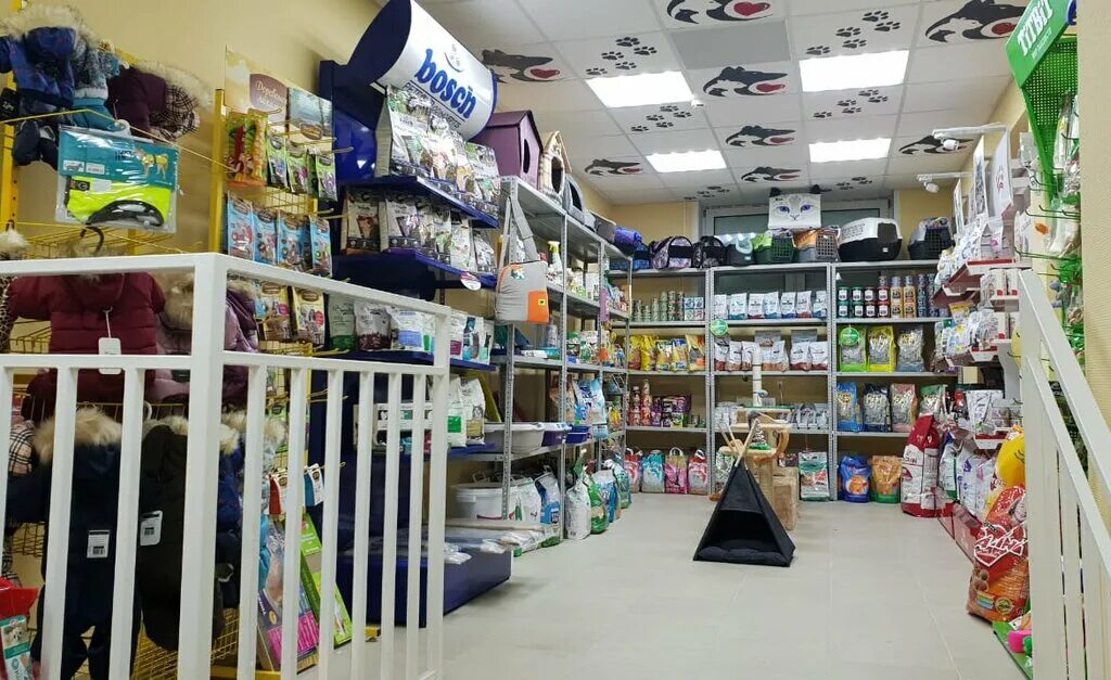 динозаврик зоомагазин. зоомагазин 4 лапы краснодар. банк аверс нижнекамск. банк аверс казань на зорге. зоомагазин мадагаскар сочи.