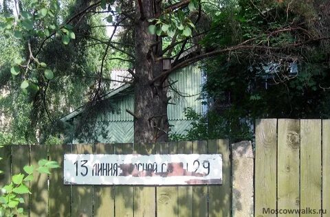 Сосновая 29
