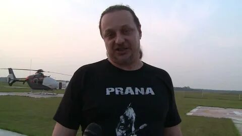 Семена чайка