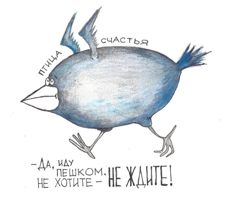 Песня выбери меня птица завтрашнего дня. Юмор про птиц. птица счастья карикатура. птица счастья прикол. птица обломинго.