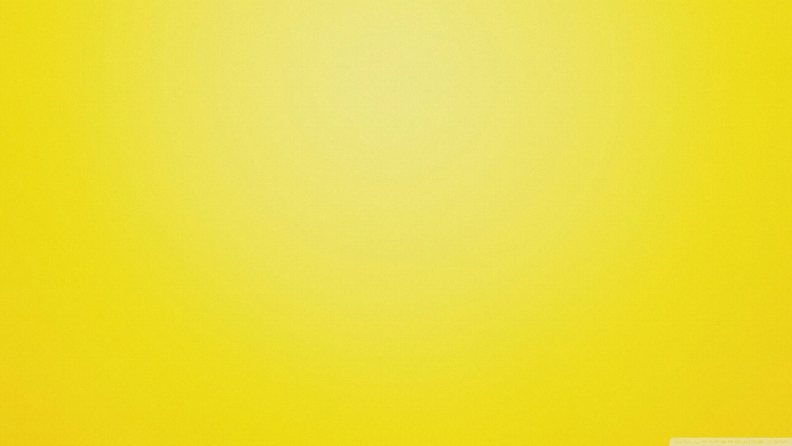 Yellow цвет. Желтая сакура. Мимоза тайланд растение. Картинки желтого цвета. Цветы тайланда.