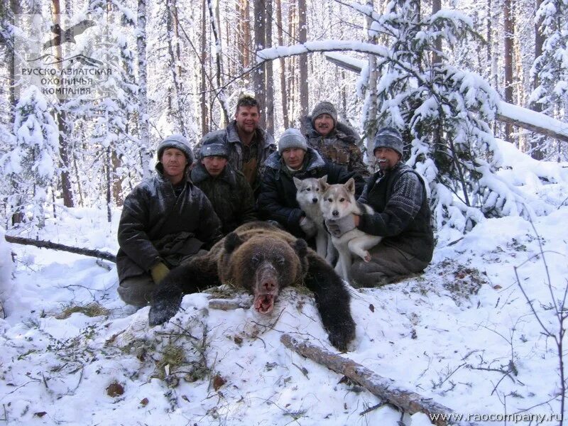 Охотхозяйство медведь Архангельская область Устьянский район. Охота на медведя в Якутии на берлоге. Берлога охотника