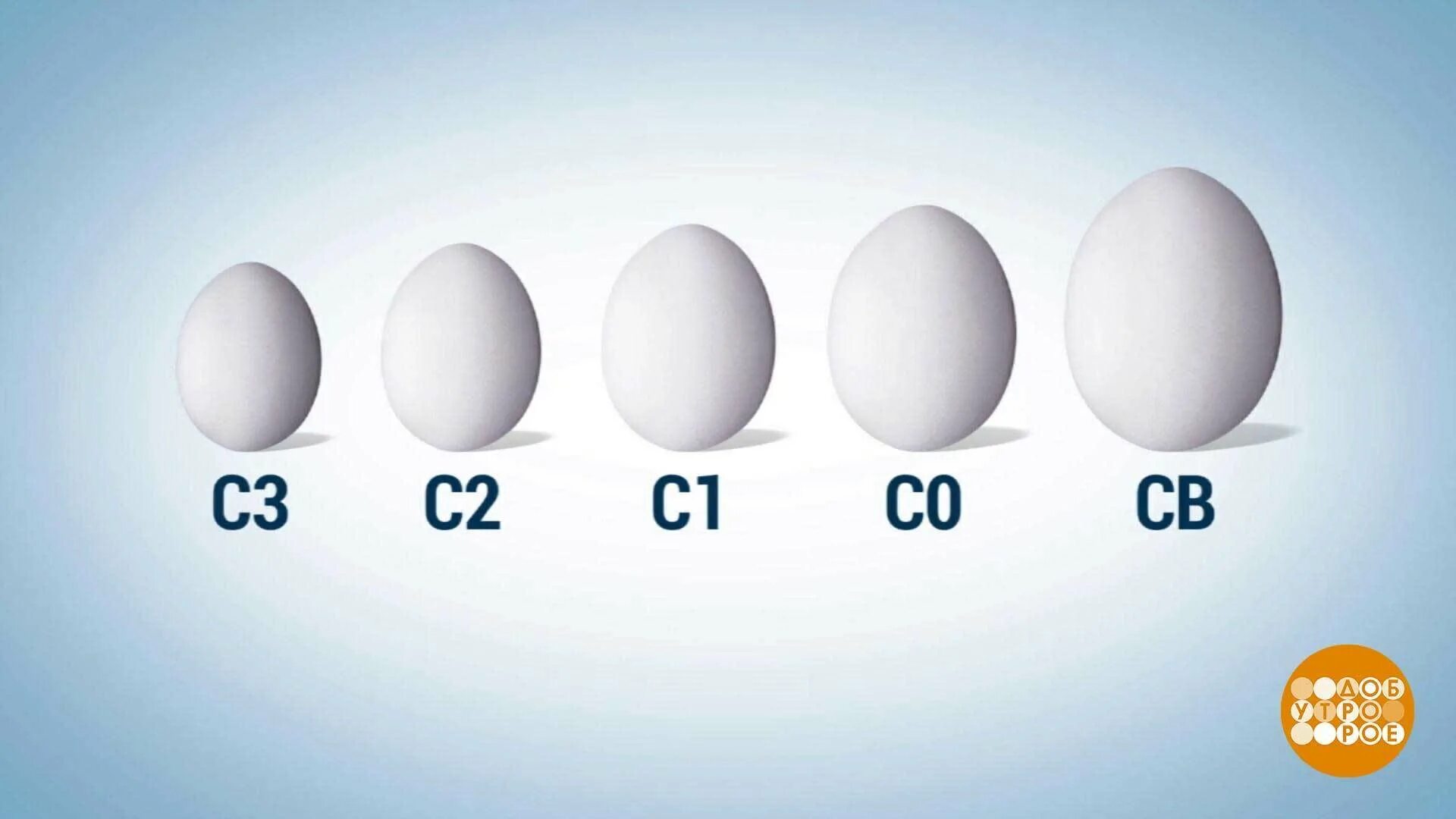 Маркировка яиц. Маркирование яиц. Категории яиц куриных. Обозначение яиц. Яйца с0 или с2