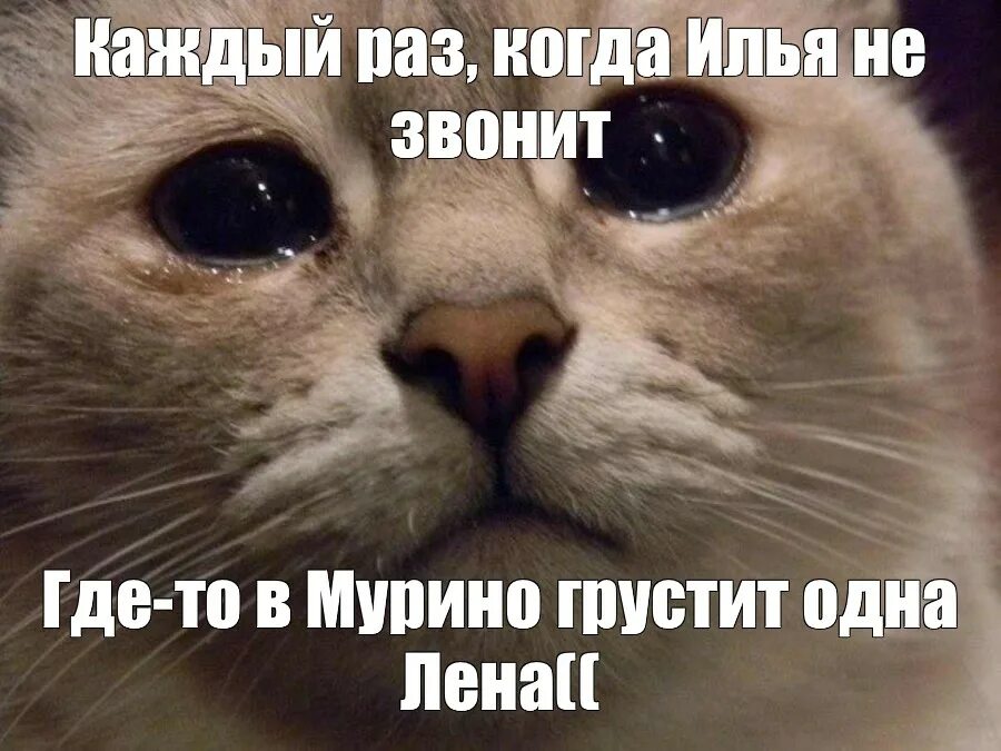 Мне сказали ты грустишь. Рано или поздно все станет на свои места. Все станет на свои места. Маша мем. Один котик.
