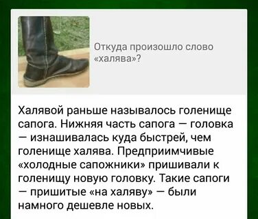 Голенища сапога 6 букв