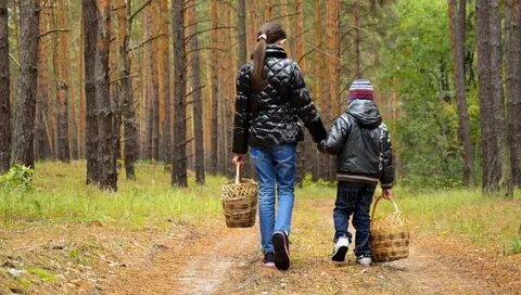Как ходить по лесу