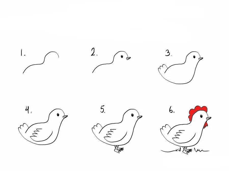 Поэтапное рисование курицы для детей. Схема рисования курица для детей. Поэтапное рисование петуха. Поэтапное рисование курочки для детей.