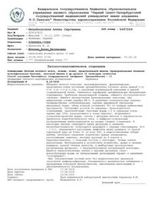 Патолого анатомическое исследование биопсийного