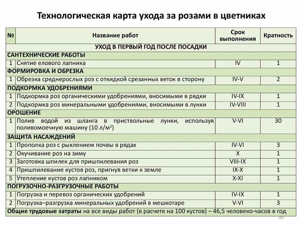 Карту ухаживать. Технологическая карта посадки крупномеров. Технологическая карат посадки крупномеров. Технологическая карта посадки растений. Технологическая карта по уходу за живыми изгородями.