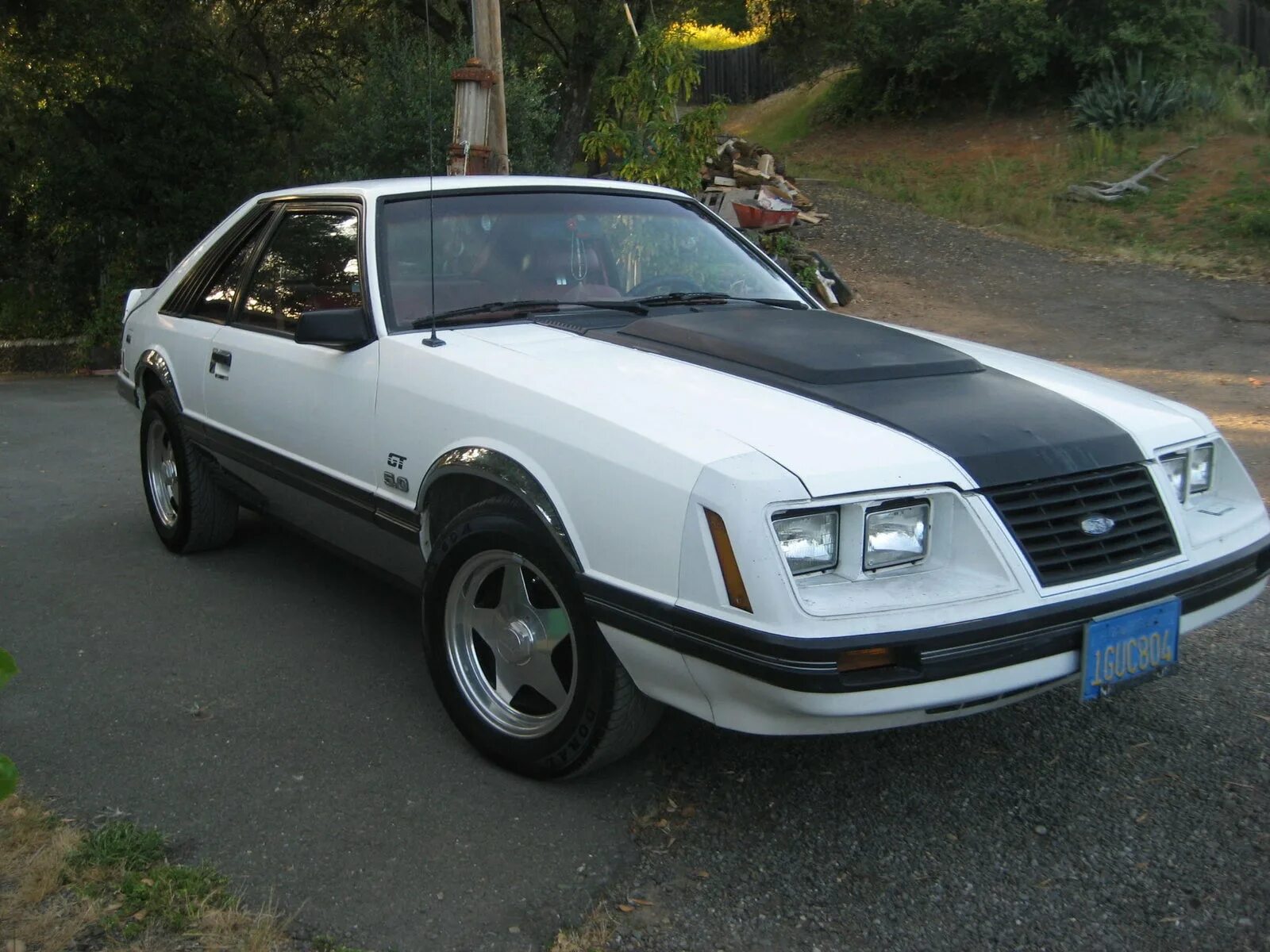 Мустанг 1983. Форд Мустанг 1983. Ford Mustang 1983. Toyota Mustang 1983. Ford Mustang LX 1983.