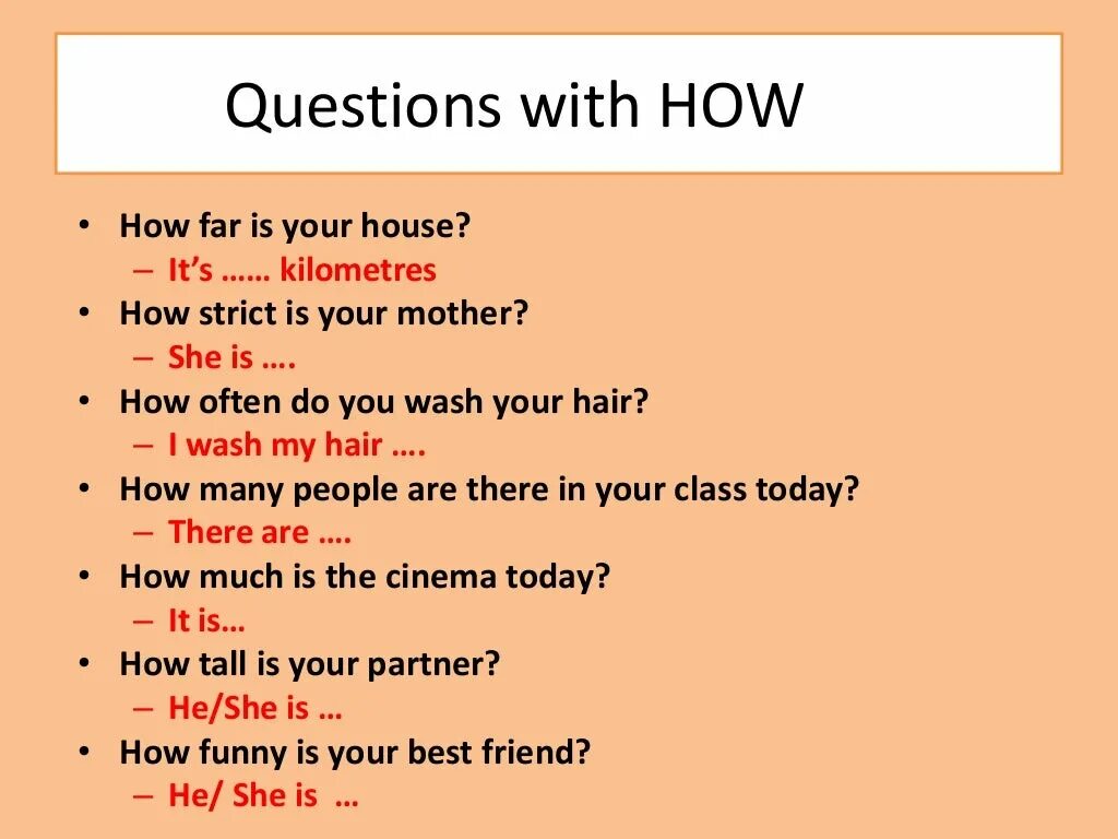 Can could questions. Вопросы с can could. вопросы с how. ability can and could questions with how. диалог с can could.