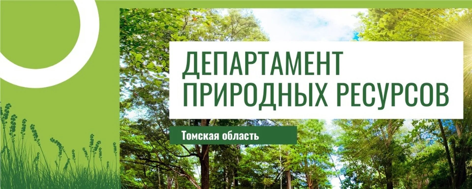 Департамент природных ресурсов Томской области. Природные богатства Томской области. Департамент природных ресурсов Курганской области. Департамент природных томской области