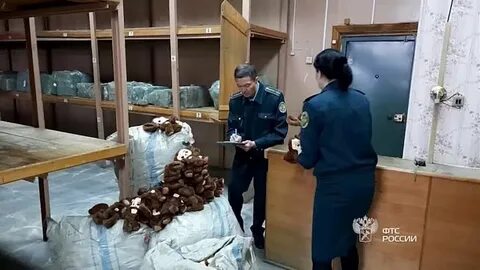 1 апреля таможня